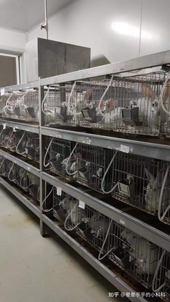 浙江华臻生物的动物实验做的怎么样,之前实验失败了,一直没啥大的进展?